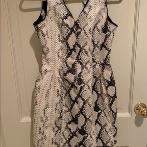 Elliatt Snakeskin Dress